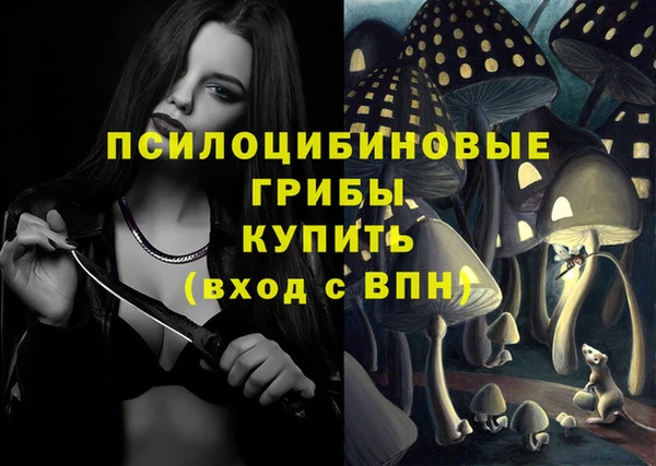 а пвп мука Белокуриха