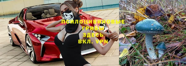 а пвп мука Белокуриха